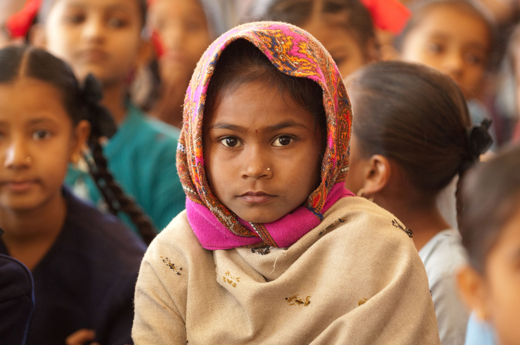India29